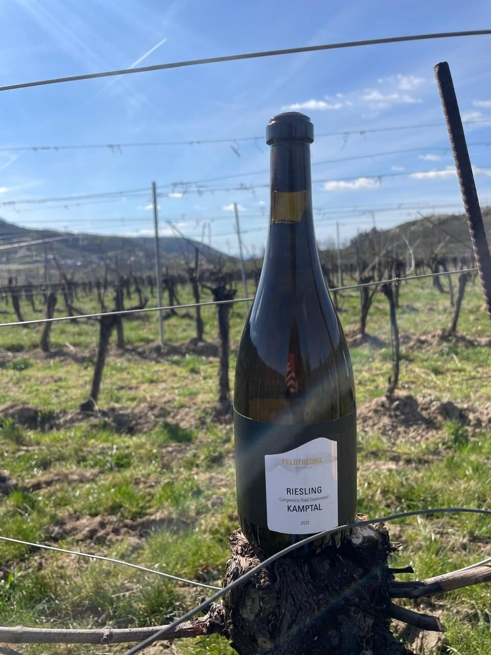 Riesling Steinmassl - 2022 Riesling