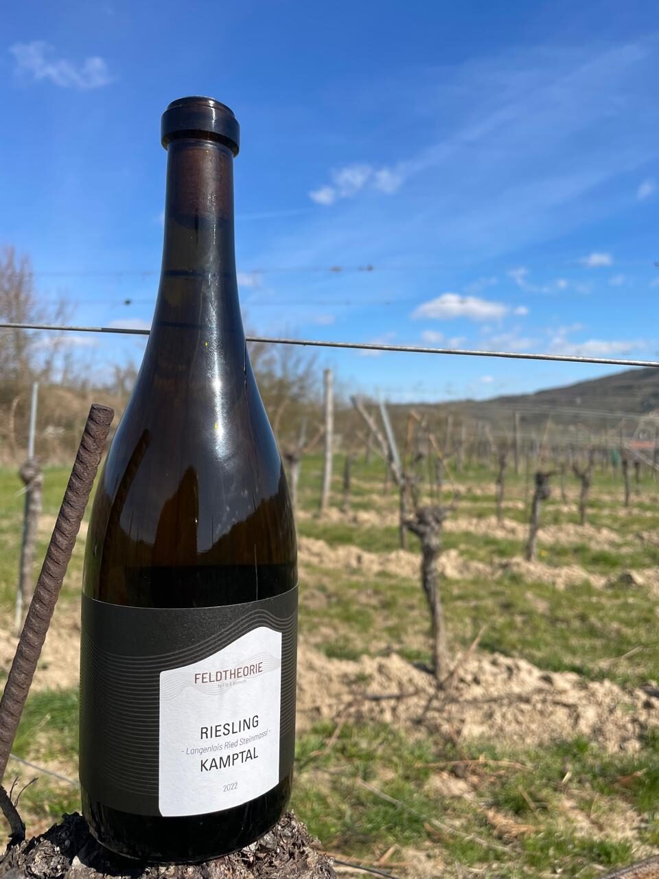 Riesling Steinmassl - 2022 Riesling