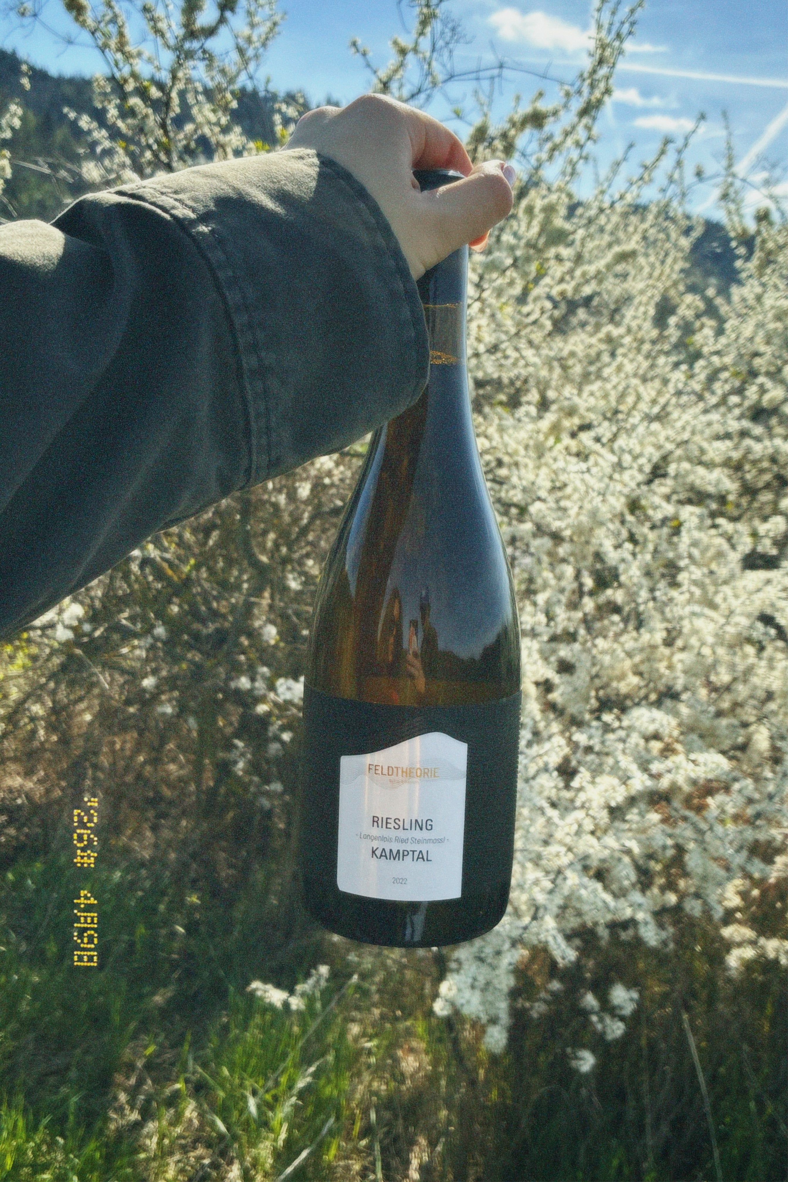 Riesling Steinmassl - 2022 Riesling