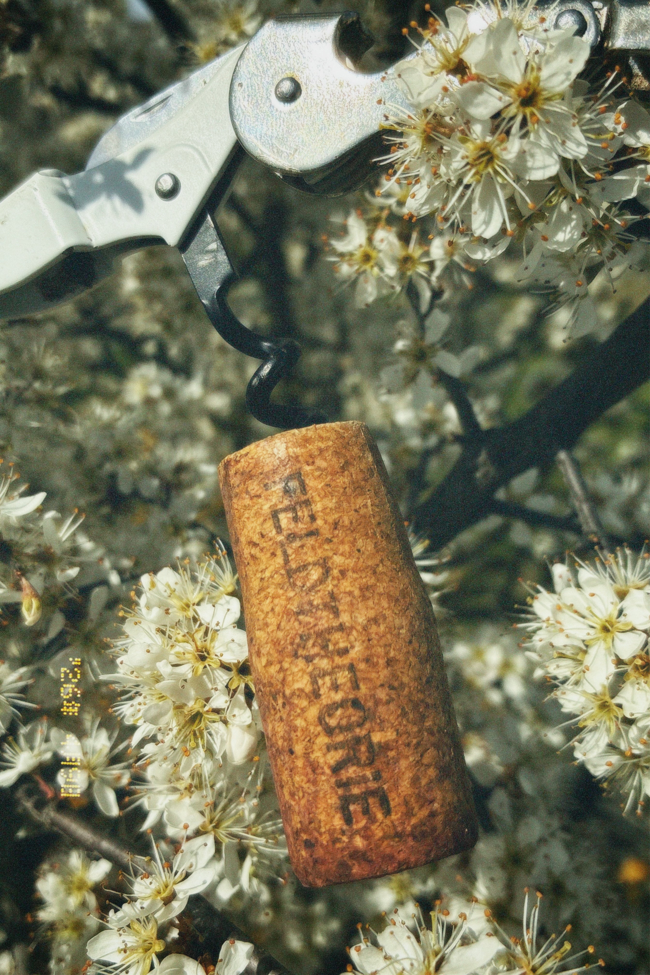 Definitiv SP - 2022 Grüner Veltliner