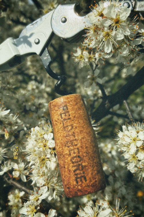 Definitiv SP - 2022 Grüner Veltliner